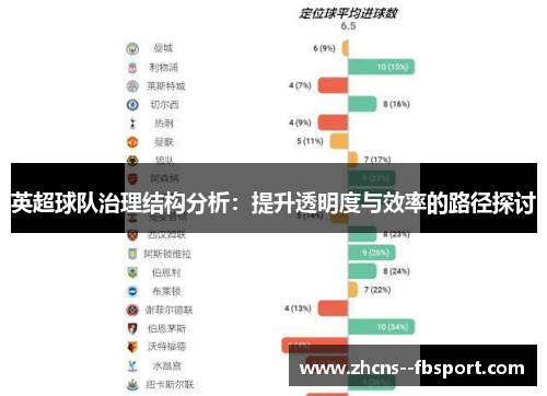英超球队治理结构分析：提升透明度与效率的路径探讨